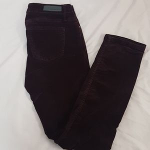 Calvin Klein Jeans